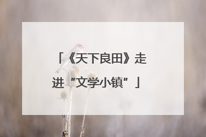 《天下良田》走进“文学小镇”