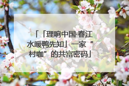 「理响中国·春江水暖鸭先知」一家“村咖”的共富密码