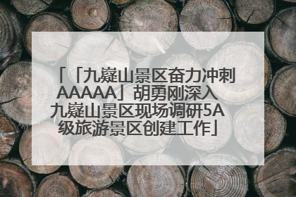 「九嶷山景区奋力冲刺AAAAA」胡勇刚深入九嶷山景区现场调研5A级旅游景区创建工作