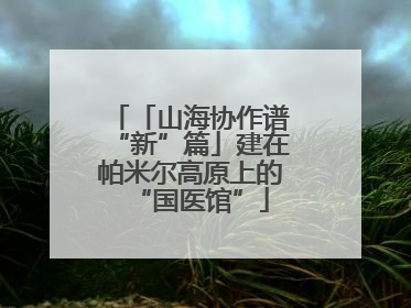「山海协作谱“新”篇」建在帕米尔高原上的“国医馆”