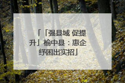 「强县域 促提升」榆中县：惠企纾困出实招