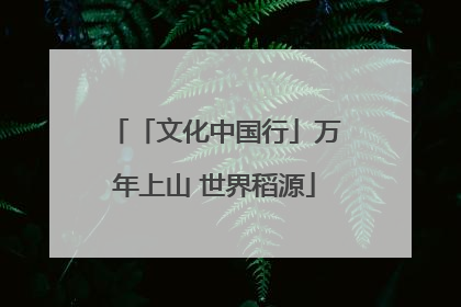 「文化中国行」万年上山 世界稻源