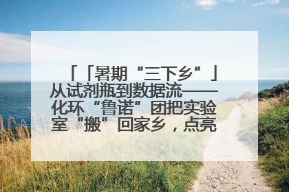 「暑期“三下乡”」从试剂瓶到数据流——化环“鲁诺”团把实验室“搬”回家乡，点亮桑梓求知路