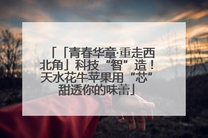 「青春华章·重走西北角」科技“智”造！天水花牛苹果用“芯”甜透你的味蕾