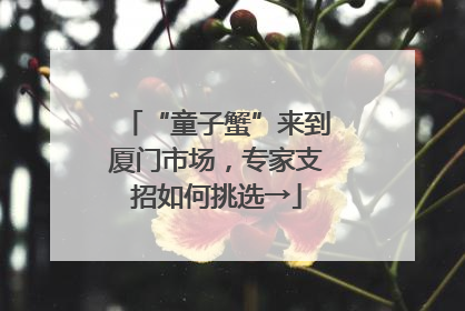 “童子蟹”来到厦门市场，专家支招如何挑选→