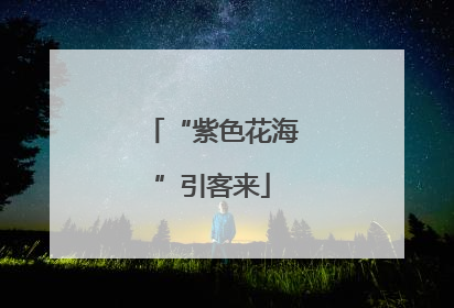 “紫色花海”引客来
