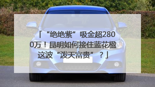 “绝绝紫”吸金超2800万！昆明如何接住蓝花楹这波“泼天富贵”？