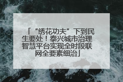 “绣花功夫”下到民生要处！泰兴城市治理智慧平台实现全时段联网全要素细治