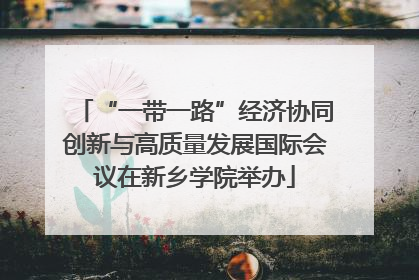 “一带一路”经济协同创新与高质量发展国际会议在新乡学院举办