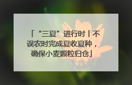 “三夏”进行时丨不误农时完成夏收夏种，确保小麦颗粒归仓