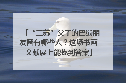 “三苏”父子的巴蜀朋友圈有哪些人？这场书画文献展上能找到答案