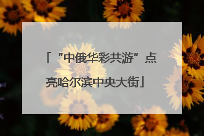 “中俄华彩共游”点亮哈尔滨中央大街