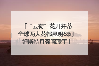 “云荷”花开并蒂 全球两大花都昆明&阿姆斯特丹强强联手