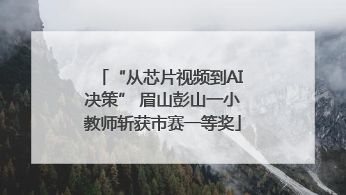 “从芯片视频到AI决策” 眉山彭山一小教师斩获市赛一等奖