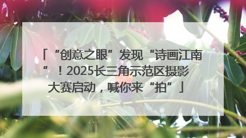 “创意之眼”发现“诗画江南”！2025长三角示范区摄影大赛启动，喊你来“拍”