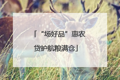 “场好品”惠农贷护航粮满仓