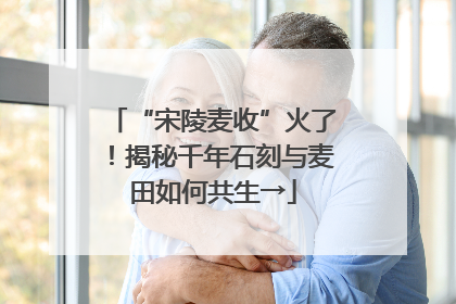 “宋陵麦收”火了！揭秘千年石刻与麦田如何共生→