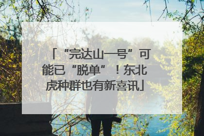 “完达山一号”可能已“脱单”！东北虎种群也有新喜讯