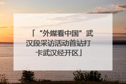 “外媒看中国”武汉段采访活动首站打卡武汉经开区