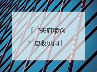 “天府粮仓”夏收见闻