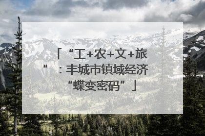 “工+农+文+旅”：丰城市镇域经济“蝶变密码”