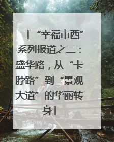 “幸福市西”系列报道之二：盛华路，从“卡脖路”到“景观大道”的华丽转身