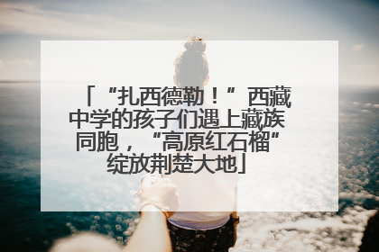 “扎西德勒！”西藏中学的孩子们遇上藏族同胞，“高原红石榴”绽放荆楚大地