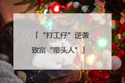 “打工仔”逆袭致富“带头人”