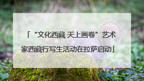 “文化西藏 天上画卷”艺术家西藏行写生活动在拉萨启动