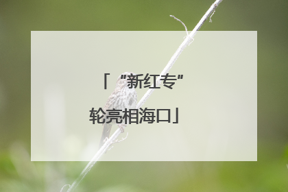“新红专”轮亮相海口