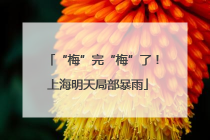 “梅”完“梅”了！上海明天局部暴雨