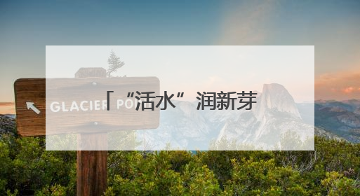 “活水”润新芽 钱塘春茶香