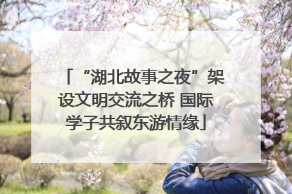 “湖北故事之夜”架设文明交流之桥 国际学子共叙东游情缘