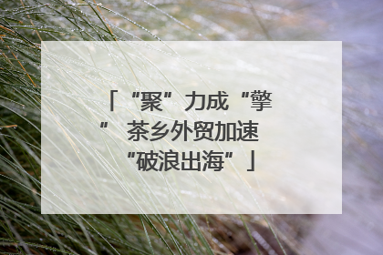 “聚”力成“擎” 茶乡外贸加速“破浪出海”