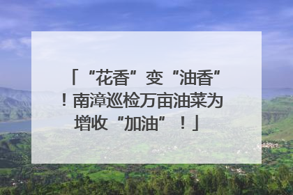 “花香”变“油香”！南漳巡检万亩油菜为增收“加油”！