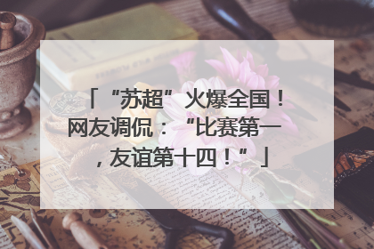 “苏超”火爆全国！网友调侃：“比赛第一，友谊第十四！”