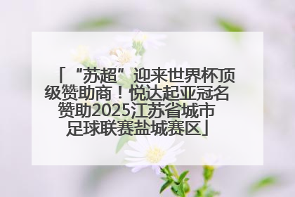 “苏超”迎来世界杯顶级赞助商！悦达起亚冠名赞助2025江苏省城市足球联赛盐城赛区