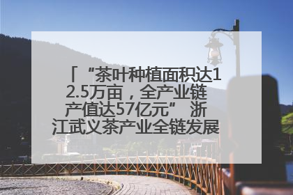 “茶叶种植面积达12.5万亩，全产业链产值达57亿元” 浙江武义茶产业全链发展“加速度”