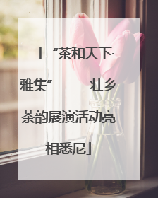 “茶和天下·雅集”——壮乡茶韵展演活动亮相悉尼