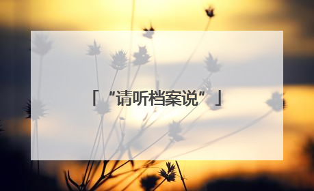 “请听档案说”