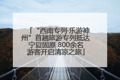 “西南专列·乐游神州”首趟旅游专列抵达宁夏固原 800余名游客开启清凉之旅