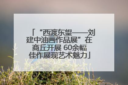 “西渡东望——刘建中油画作品展”在商丘开展 60余幅佳作展现艺术魅力