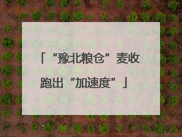 “豫北粮仓”麦收跑出“加速度”