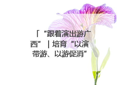 “跟着演出游广西”｜培育“以演带游、以游促消”文旅消费新生态