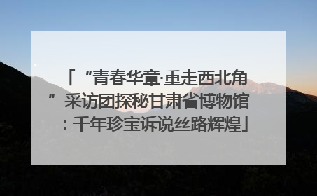“青春华章·重走西北角”采访团探秘甘肃省博物馆：千年珍宝诉说丝路辉煌
