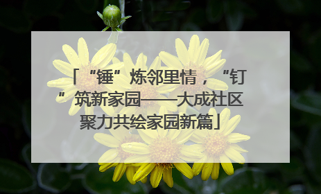 “锤”炼邻里情，“钉”筑新家园——大成社区聚力共绘家园新篇