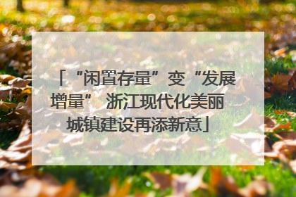 “闲置存量”变“发展增量” 浙江现代化美丽城镇建设再添新意