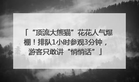 “顶流大熊猫”花花人气爆棚！排队1小时参观3分钟，游客只敢讲“悄悄话”