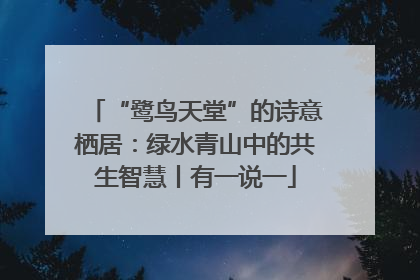 “鹭鸟天堂”的诗意栖居：绿水青山中的共生智慧丨有一说一