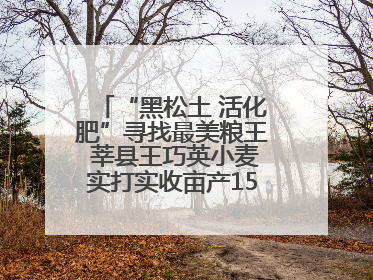 “黑松土 活化肥”寻找最美粮王 莘县王巧英小麦实打实收亩产1515.4斤 超对照田144斤！